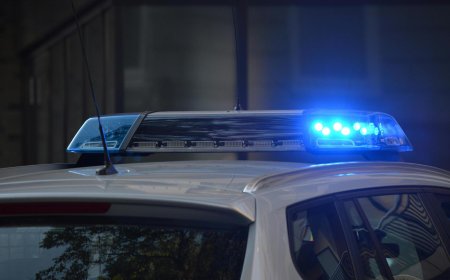 Percheziție privind dispariția unor monede medievale