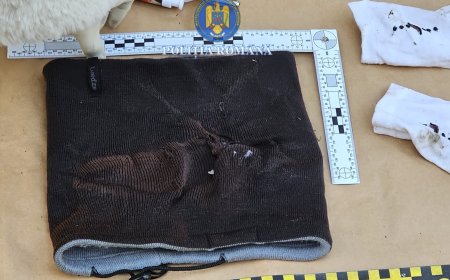 ARESTARE DUPĂ INCENDIEREA UNUI AUTOTURISM ÎN SATCHINEZ