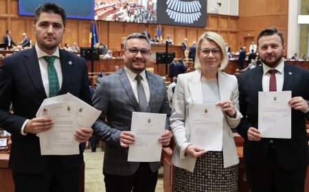 Senatul aprobă inițiativa privind acordarea premiilor de performanță doar sportivilor și antrenorilor