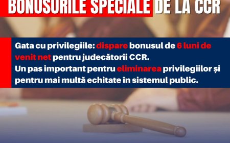 Senatul elimină primele de pensionare pentru judecătorii CCR