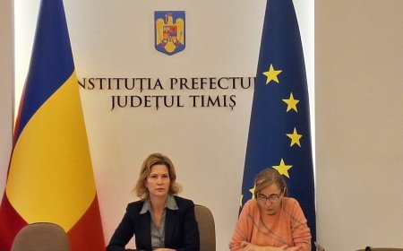Ședință a Comisiei Județene pentru Incluziune Socială Timiș: soluții pentru sprijinirea persoanelor vulnerabile