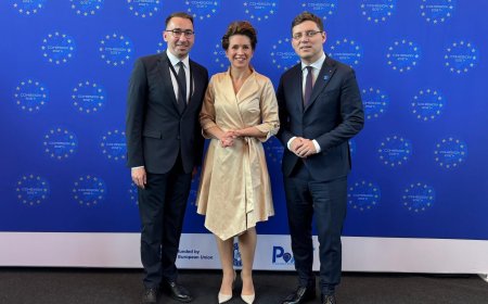 Timișul cere un acces mai simplu la fondurile europene în următoarea perioadă de programare