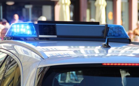 PIETON ACCIDENTAT PE BULEVARDUL SUDULUI, DOSAR PENAL PENTRU ȘOFER