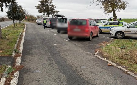 CONTROALE RUTIERE CU EFECTIVE MĂRITE ÎN SÂNNICOLAU MARE