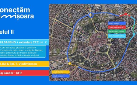 INELUL II DIN TIMIȘOARA PRIMESTE UN IMPULS SEMNIFICATIV