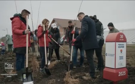 Plantare de salcâmi la Cărpiniș, alături de comunitatea franco-română
