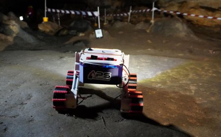 ROBOȚI ÎN PEȘTERA ROMÂNEȘTI