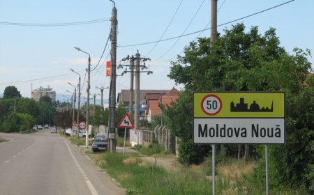 FEMEIE BĂTUTĂ ȘI LĂSATĂ SĂ ZACĂ ÎN GRĂDINĂ