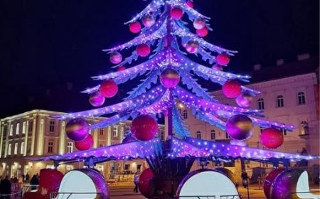 Descoperă magia sărbătorilor la Timișoara