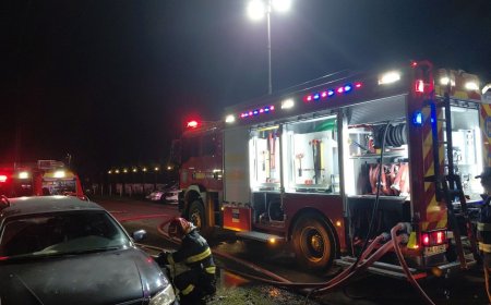 URMĂRILE INCENDIULUI DE LA REMETEA MARE