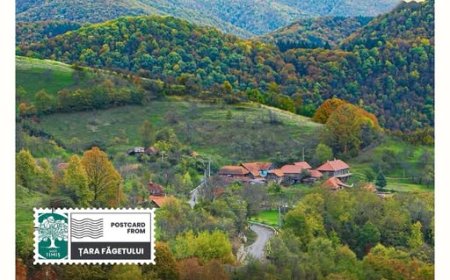 JUDEȚUL TIMIȘ, PROMOVAT LA INTERNATIONAL FAIR OF TOURISM