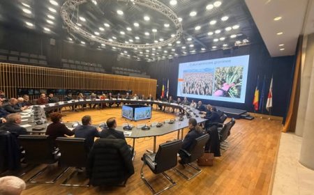 PROIECTE IMPORTANTE PENTRU TIMIȘ