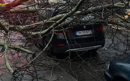 COPAC PRĂBUȘIT PESTE O MAȘINĂ