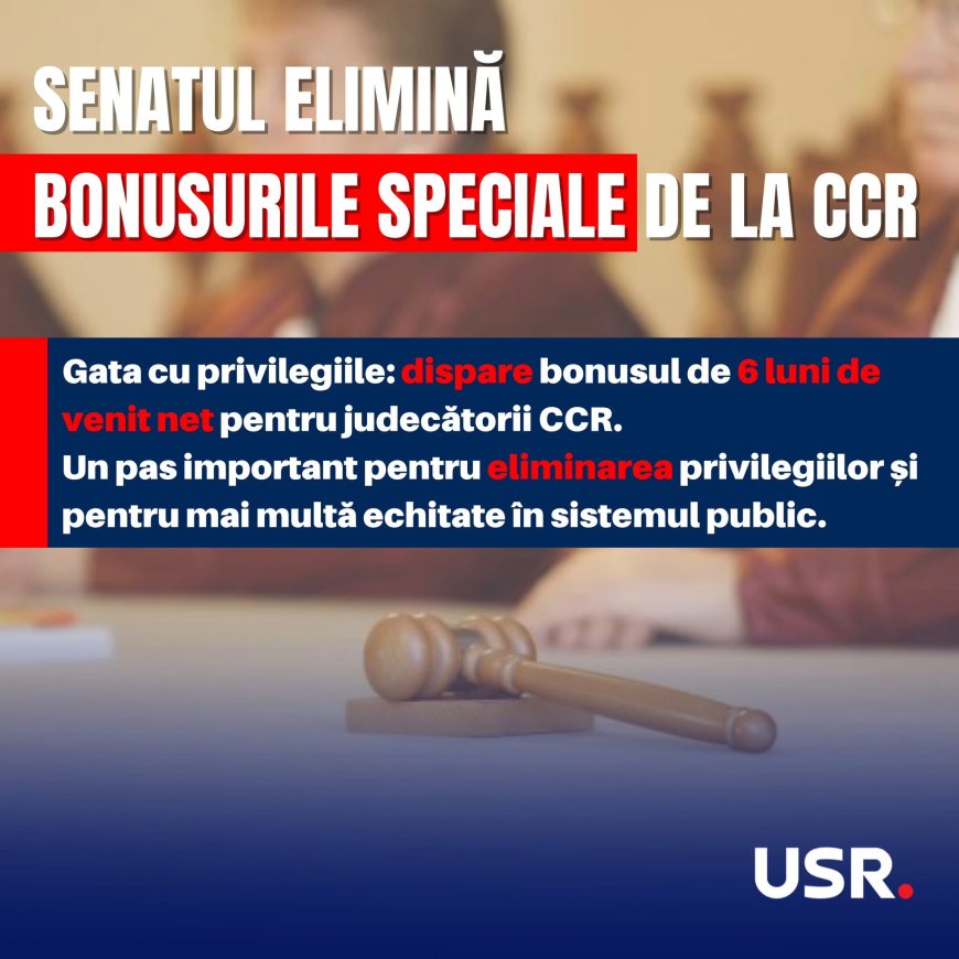 Senatul elimină primele de pensionare pentru judecătorii CCR