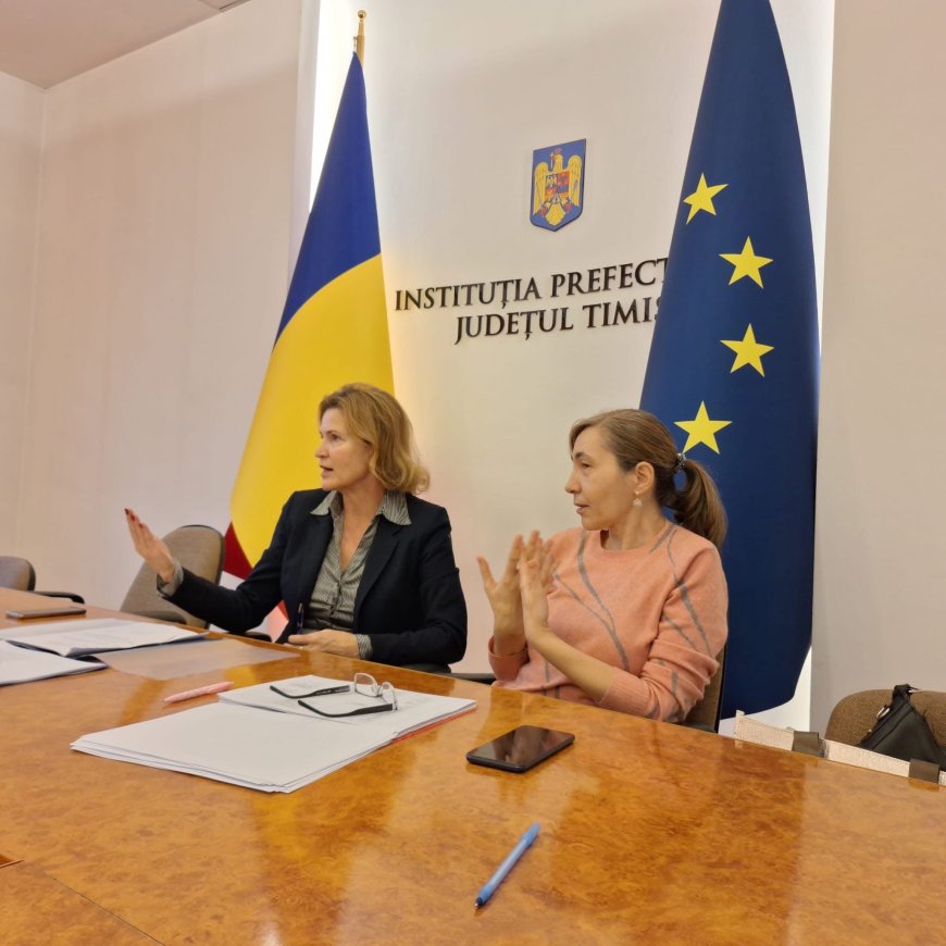 Ședință a Comisiei Județene pentru Incluziune Socială Timiș: soluții pentru sprijinirea persoanelor vulnerabile