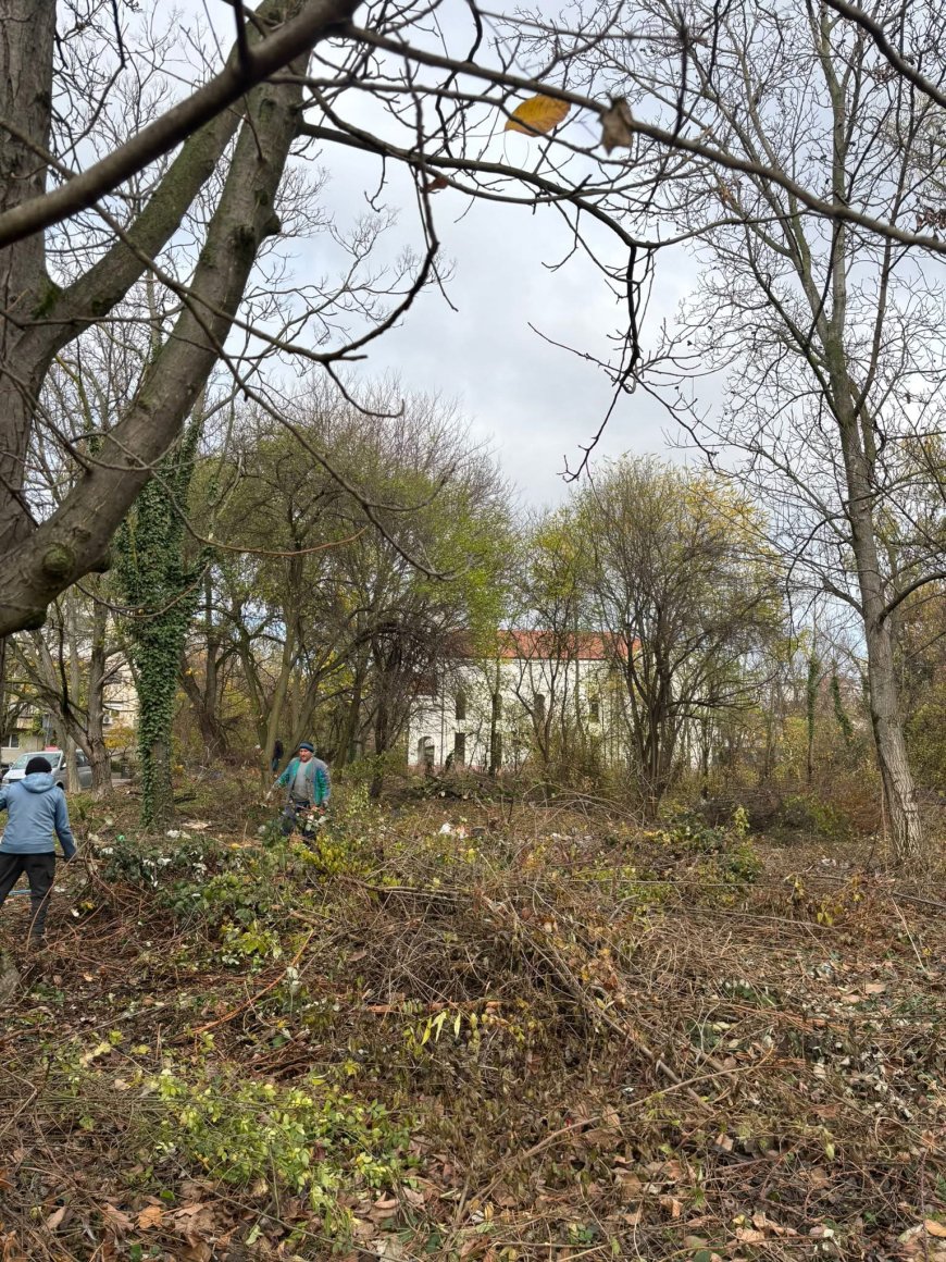Intervenție în cartierul Lipovei: spațiu public curățat și întreținut de Primăria Timișoara