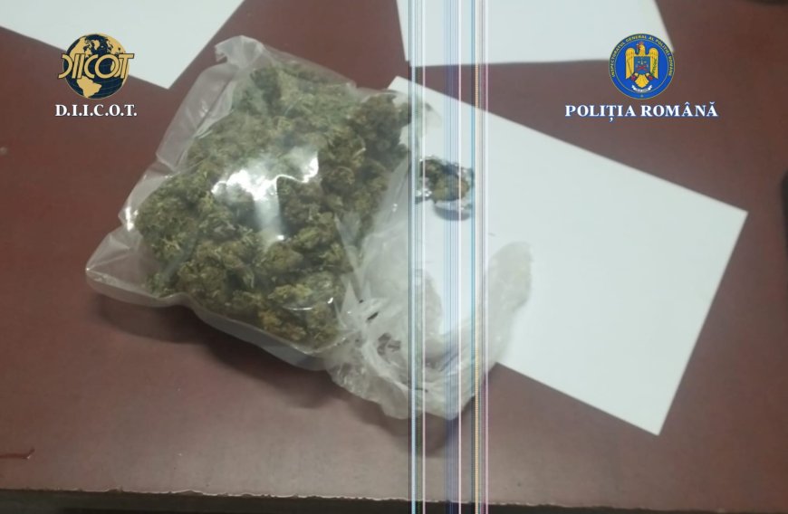 PERCHEZIȚII ÎN CARAȘ-SEVERIN ȘI TIMIȘ, ÎNTR-UN DOSAR DE TRAFIC DE DROGURI