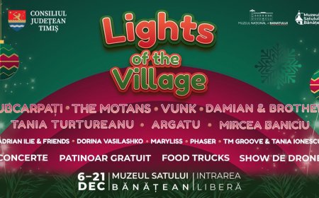 PATINOAR GRATUIT LA LIGHTS OF THE VILLAGE