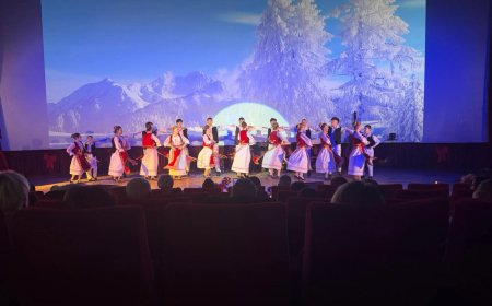 SPECTACOLUL "SĂRBĂTOARE ÎN CASA MEA" PENTRU CĂRĂȘENI