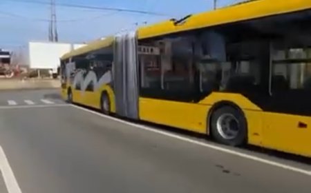 VIDEO | TROLEIBUZE NOI LA TIMIȘOARA