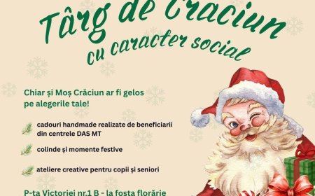 Mini târg social la Târgul de Crăciun Timișoara
