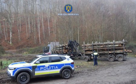 Polițiștii acționează pentru protecția pădurilor