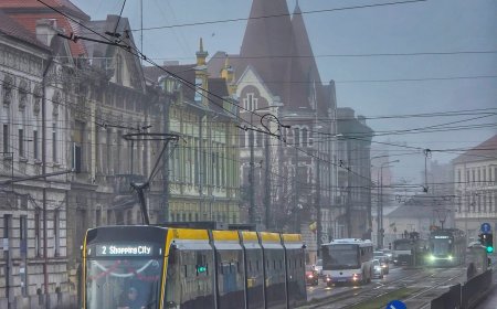 Timișoara: Licitație pentru hala de mentenanță a tramvaielor