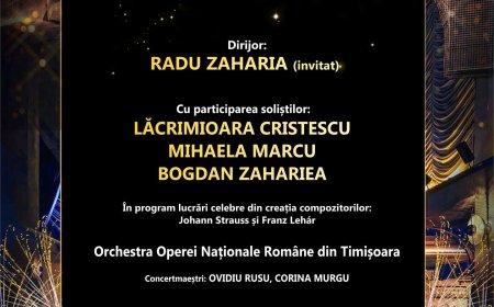 CONCERT DE ANUL NOU