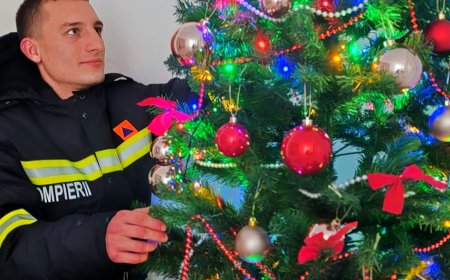 Cum să împodobești bradul în siguranță