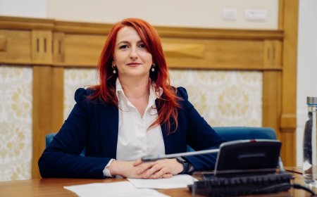 S-AU APRINS SPIRITELE ÎN CONSILIUL LOCAL TIMIȘOARA