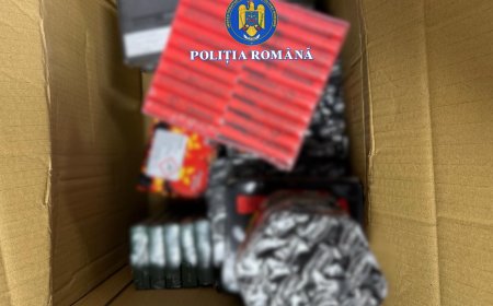 PERCHEZIȚII LA VÂNZĂTORII DE PETARDE