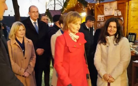 SPIRITUL CRĂCIUNULUI LA DOMENIUL REGAL SĂVÂRȘIN