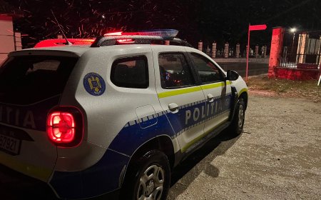 Trei ordine de protecție, emise de polițiști în două zile