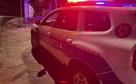 BĂRBAT DE 69 DE ANI, PRINS BEAT LA VOLAN DUPĂ CE A IEȘIT CU MAȘINA ÎN AFARA DRUMULUI