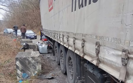 TRAFIC DAT PESTE CAP PE UN DRUM DIN VESTUL ȚĂRII