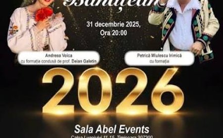 SCANDAL URIAȘ LA TIMIȘOARA! UN ORGANIZATOR DE EVENIMENTE A STRICAT REVELIONUL A 500 DE PERSOANE?