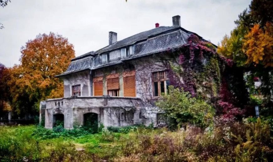 Universitatea Politehnica Timișoara achiziționează Casa Mühle pentru un hub educațional și cultural