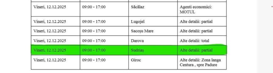 UN SAT DIN TIMIȘ A RĂMAS PARȚIAL FĂRĂ CURENT