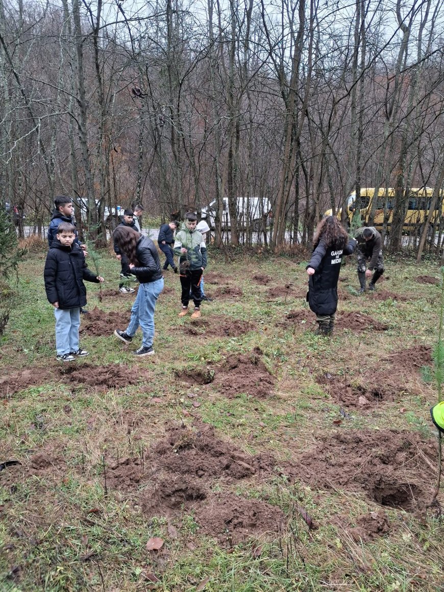 Acțiune de plantare cu elevii din Timiș