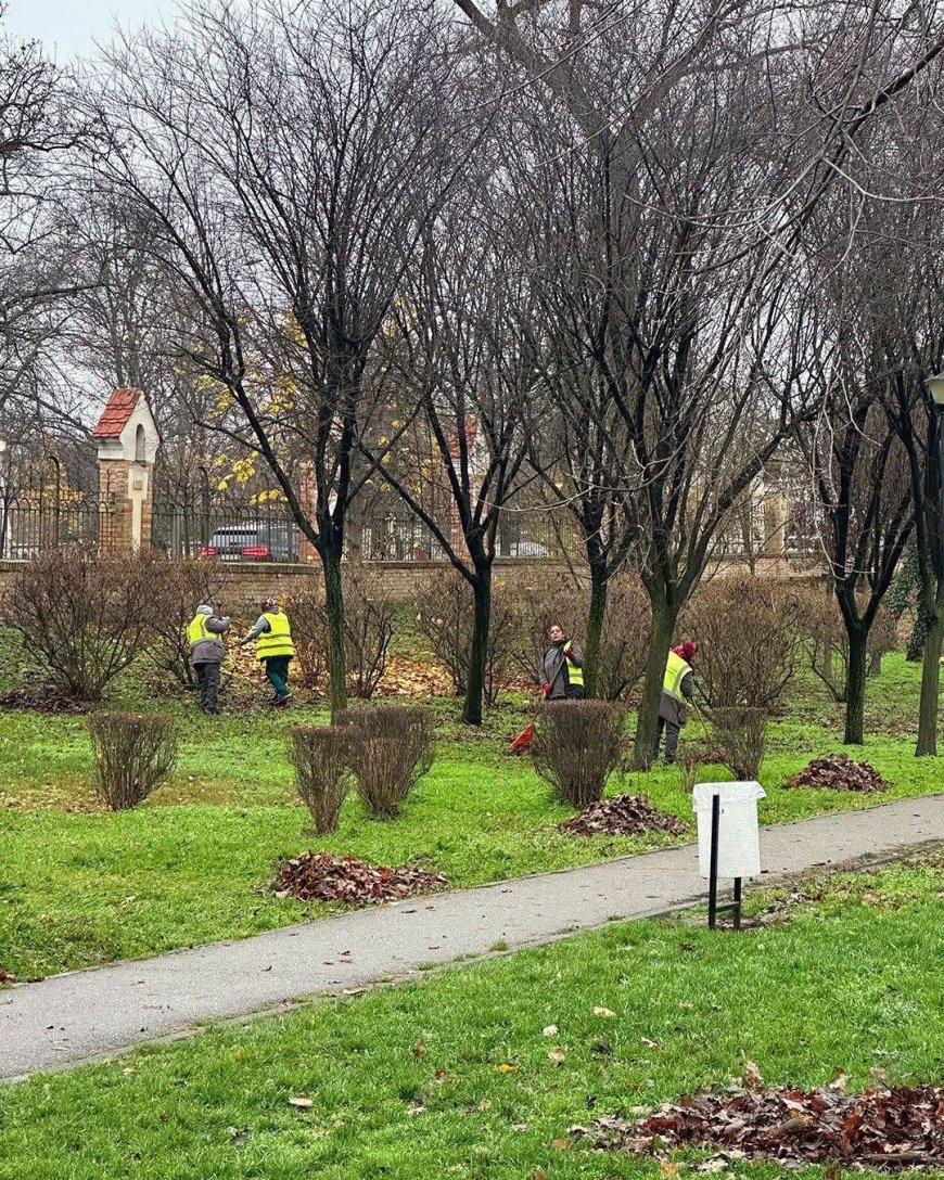 Horticultura continuă plantările și întreținerea spațiilor verzi