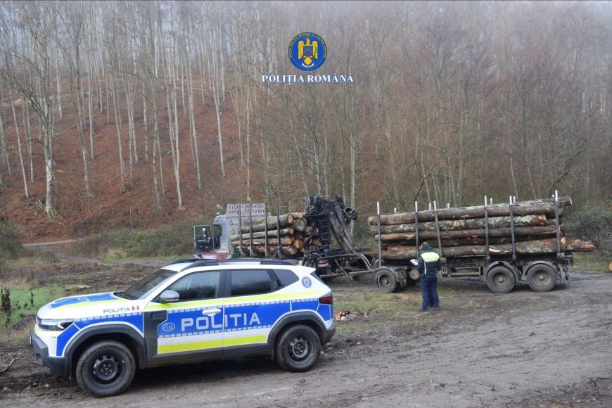 Polițiștii acționează pentru protecția pădurilor