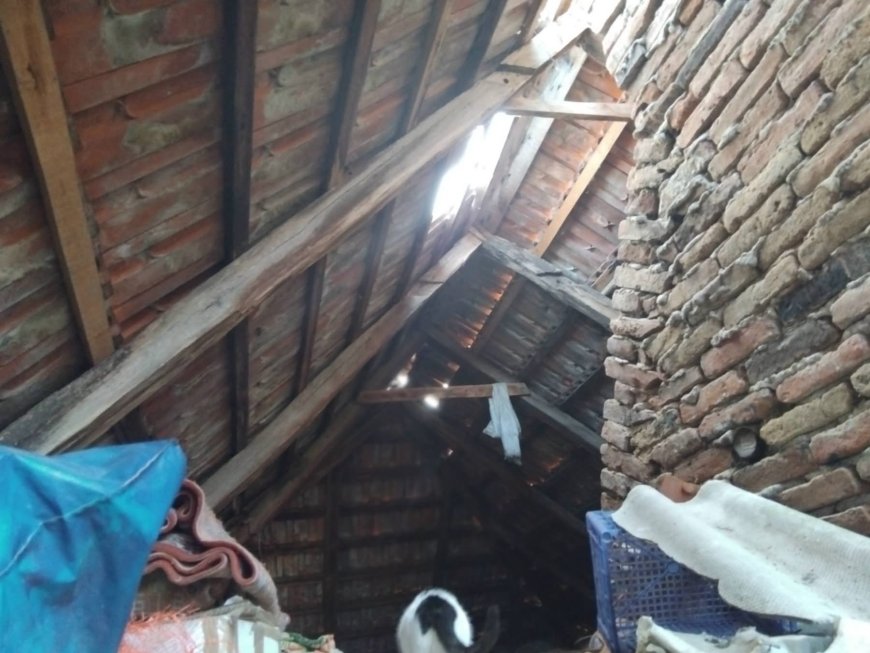 MAMA CHIVA - ÎI PLOUĂ ÎN CASĂ. UȘA NU SE MAI ÎNCHIDE. POARTA ABIA MAI STĂ