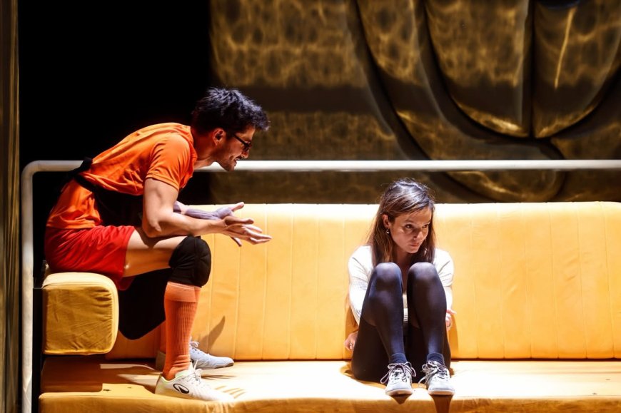 Premiera spectacolului „Scriitoarea” la Teatrul Național din Timișoara