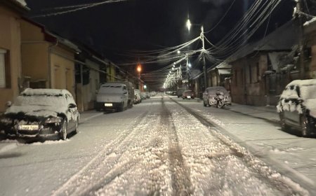 ADMINISTRAȚIA LOCALĂ DIN LUGOJ “SURPRINSĂ” DE CĂDEREA ZĂPEZII…ÎN IANUARIE