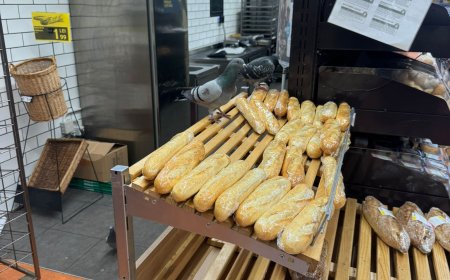 PORUMBEII AU DESCOPERIT RAFTUL CU PÂINE DIN CARREFOUR