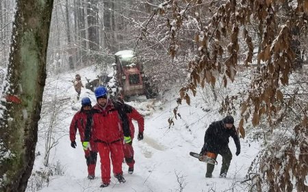 ENERGIA ELECTRICĂ A FOST RESTABILITĂ ÎN ÎNTREG JUDEȚUL TIMIȘ DUPĂ ORE DE AVARII
