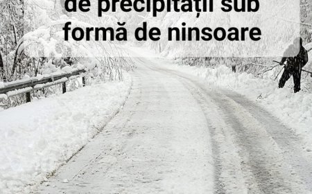 Cod galben de ninsori și polei în județul Timiș