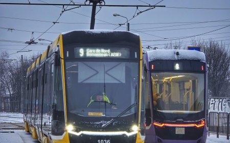 TRAMVAI UTILITAR CU PLUG PE TRASEE, PESTE 500 DE STAȚII DESZĂPEZITE ÎN TIMIȘOARA