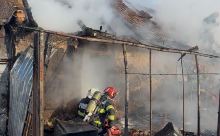 Incendiu la o locuință din Iecea Mare