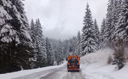 NOAPTE ALBĂ PENTRU DRUMARI